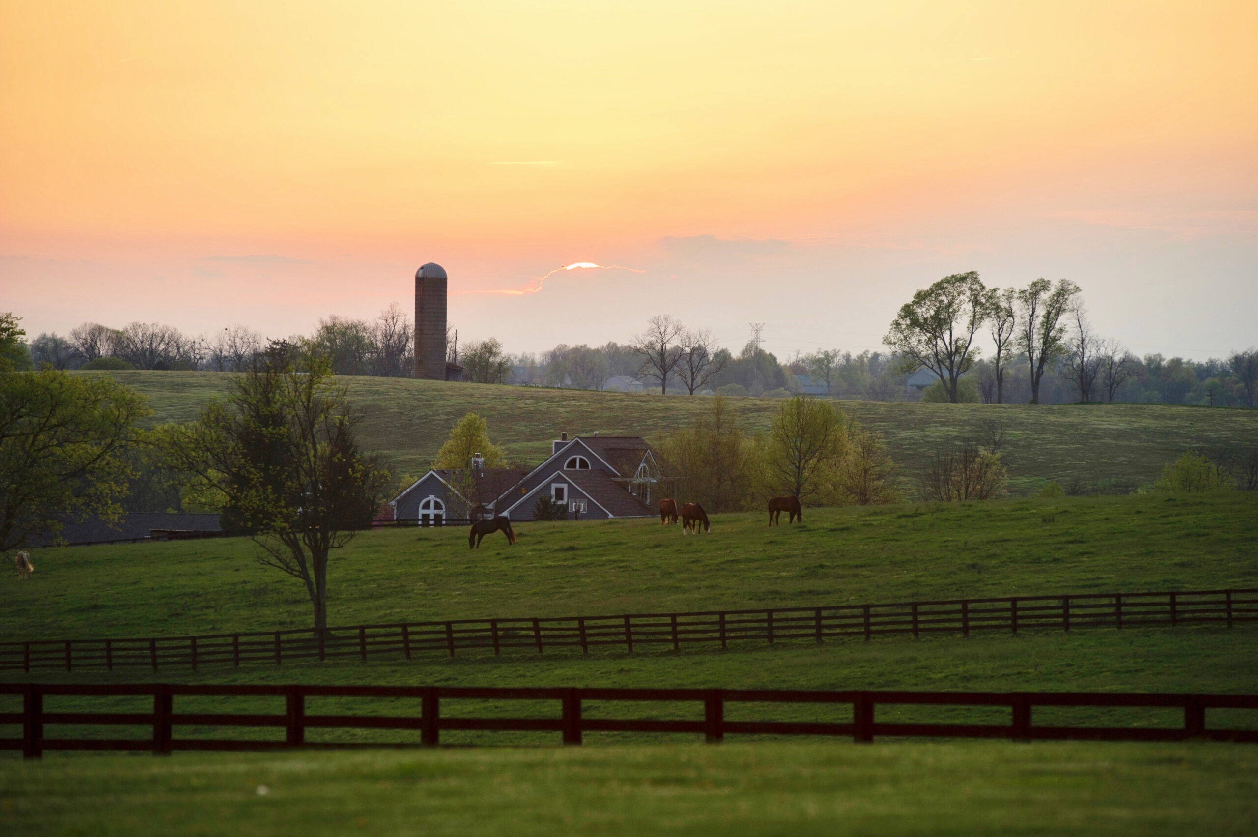 farm sunrise