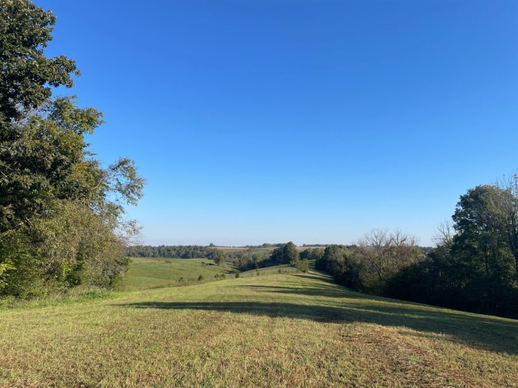 Rolling field at St.Catharine