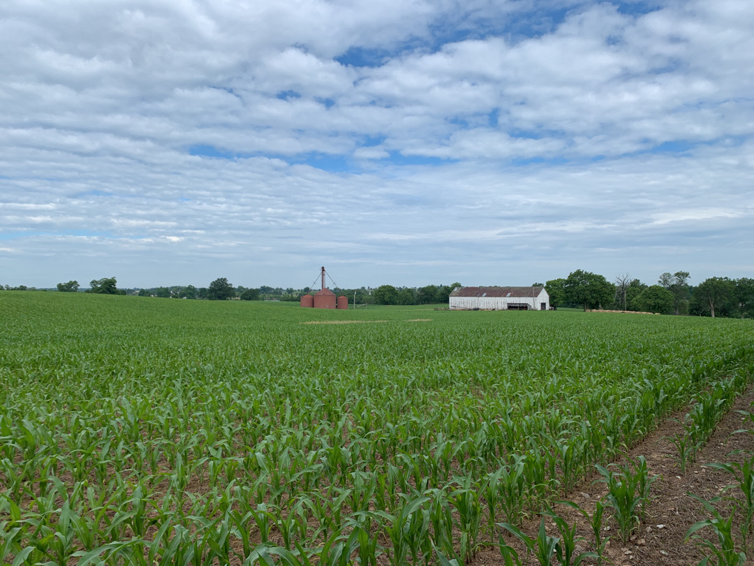 Henton Farm Announcement Bluegrass Land Conservancy henton-farm-announcement-bluegrass-land-conservancy