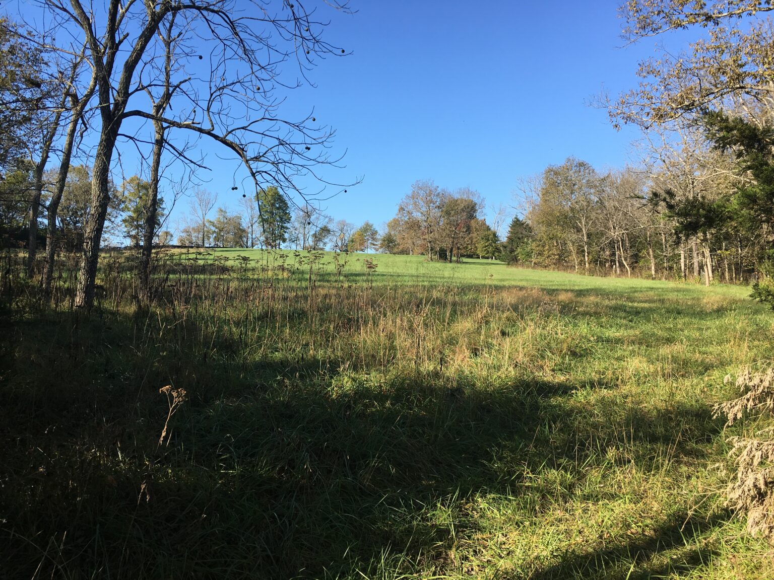 Locust Hill Farm