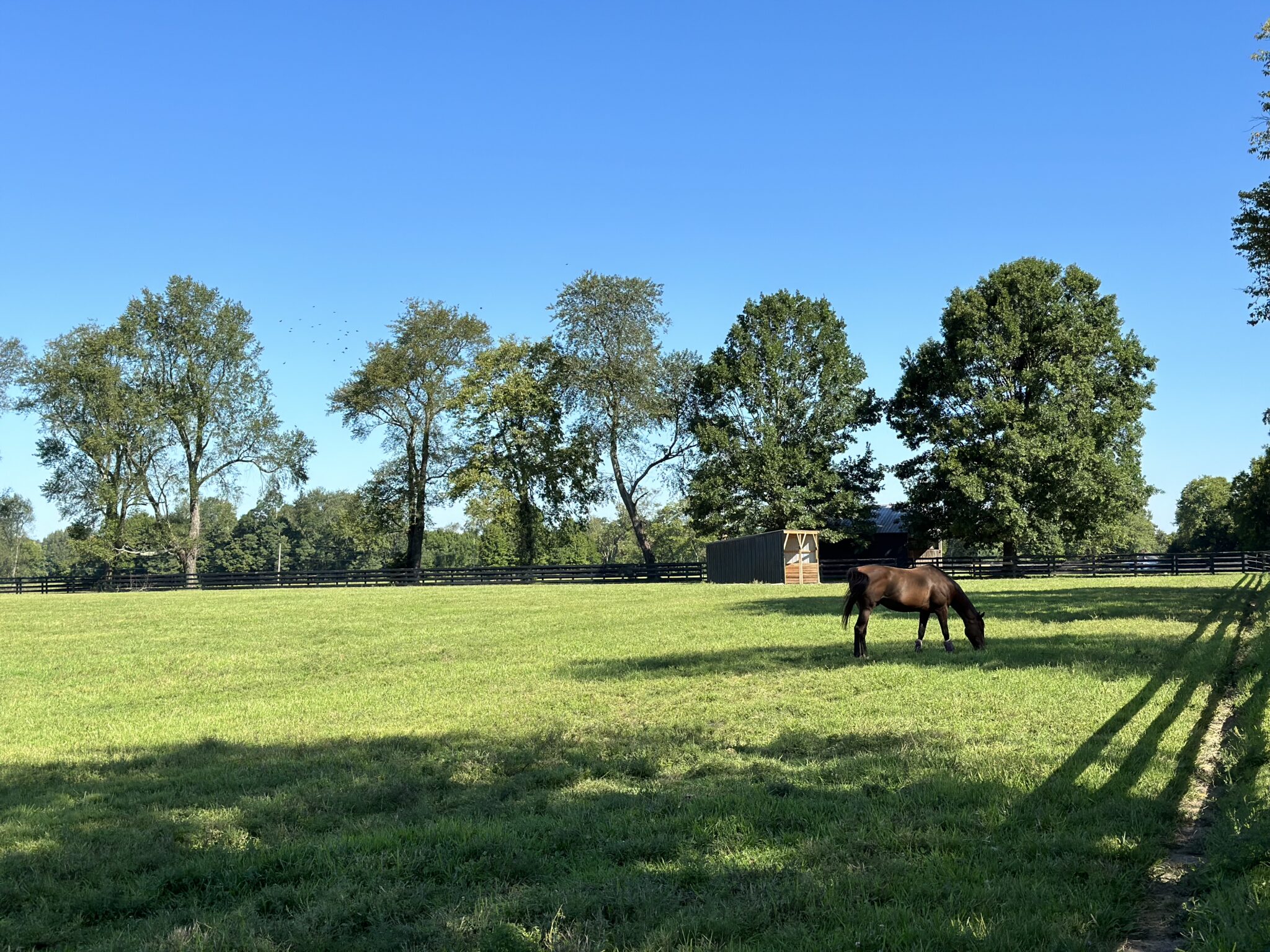 An additional 62acres protected in Oldham County Bluegrass Land Conservancy