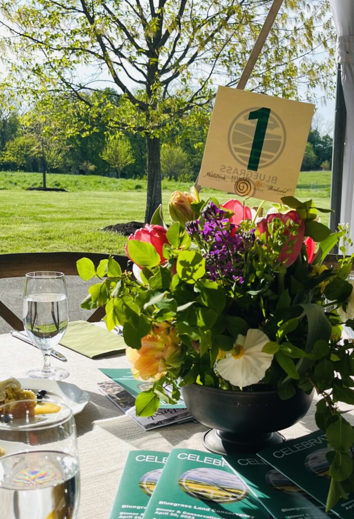 conservation awards table decor