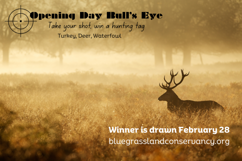 Opening Day Bull's Eye - for deer hunting tag; image of deer in golden field