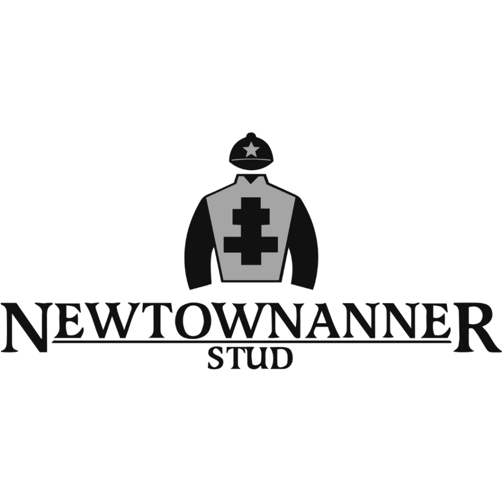 Newtownnanner Stud logo